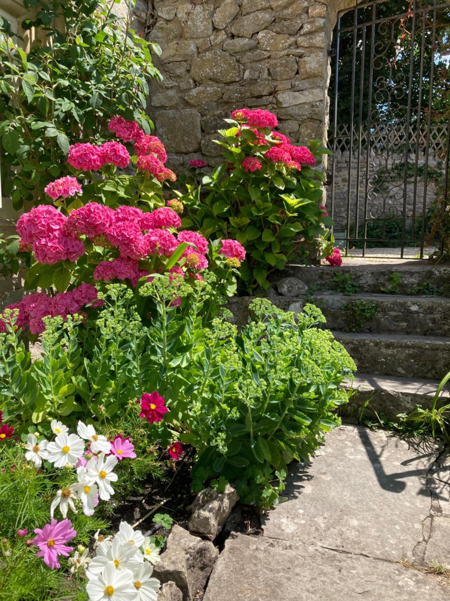Maplestone Bed & Breakfast Shepton Mallet Exterior foto