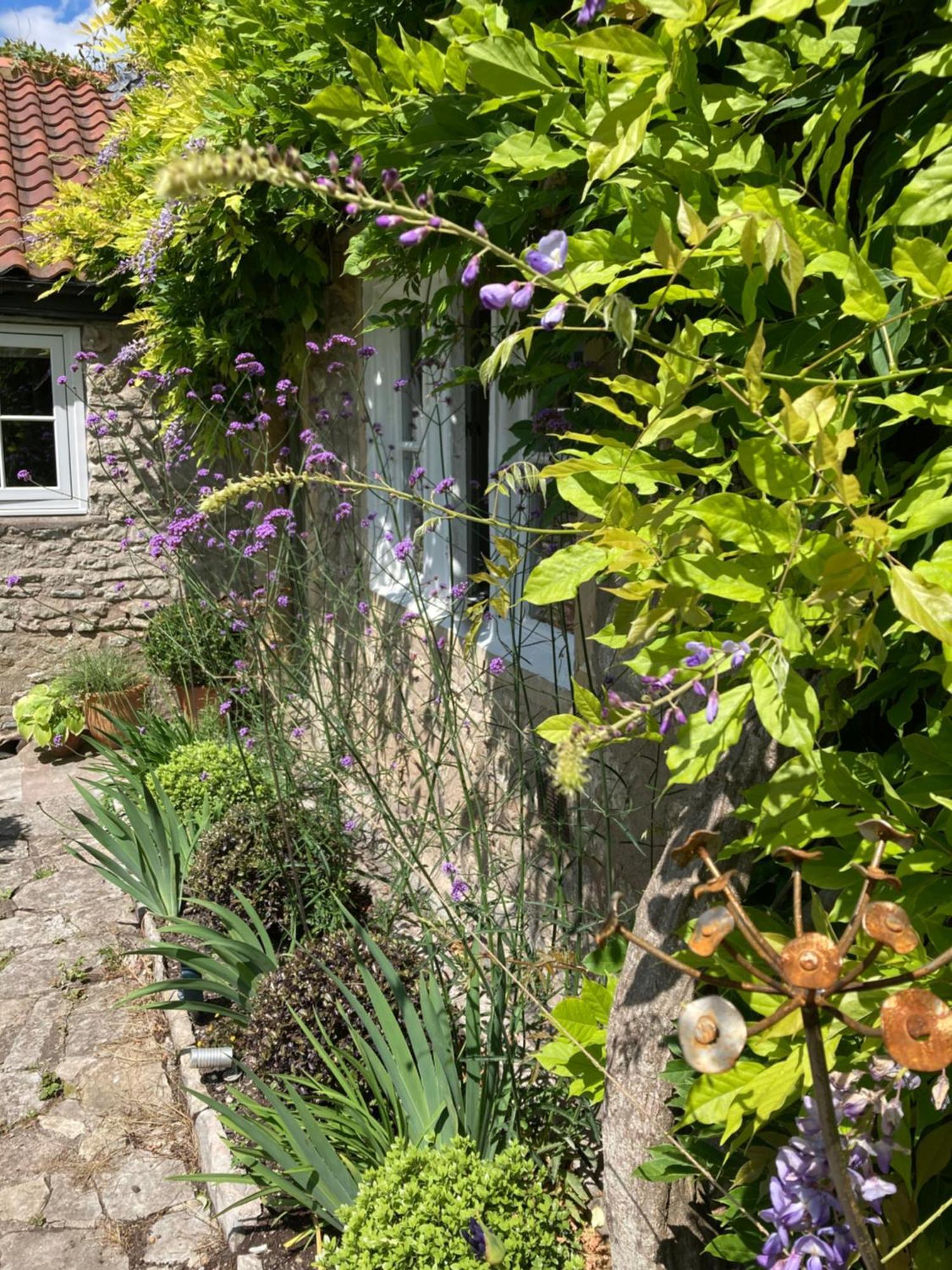 Maplestone Bed & Breakfast Shepton Mallet Exterior foto